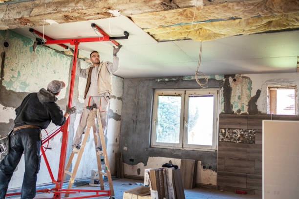 Best Cellulose Insulation in Janesville, IA