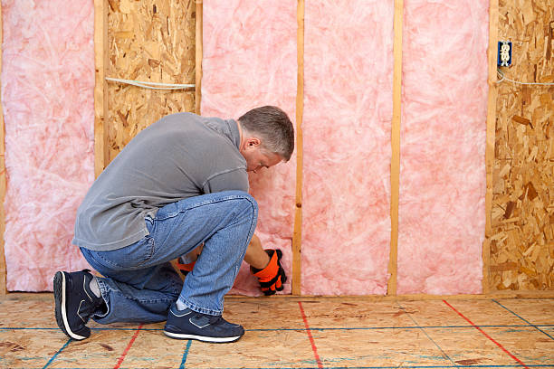 Best Fiberglass Insulation in Janesville, IA