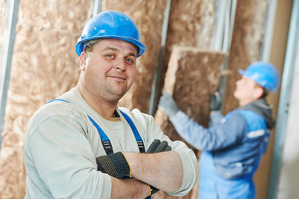 Best Geographic-Specific Insulation Services in Janesville, IA