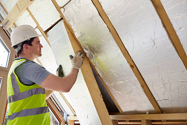 Best DIY Insulation Kits and Guidance in Janesville, IA
